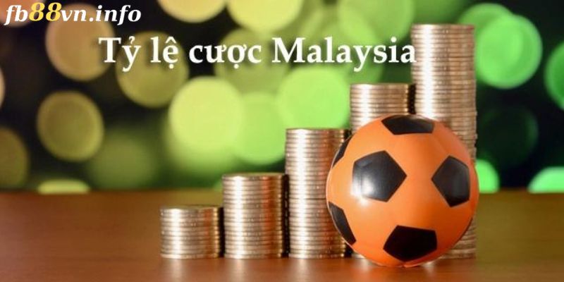 Tỷ Lệ Cược Malaysia Và Cách Chơi Hiệu Quả Cho Người Mới 